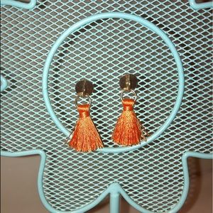 tassel earrings!